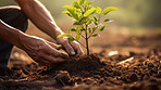 Close-up of hand planting a tree. Environment concept for world earth day