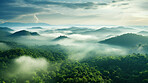 Rainforest or jungle aerial view. Top view of a green forest with mist, for earth day concept