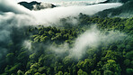 Rainforest or jungle aerial view. Top view of a green forest with mist for earth day