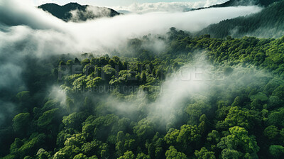 Buy stock photo Rainforest or jungle aerial view. Top view of a green forest with mist for earth day