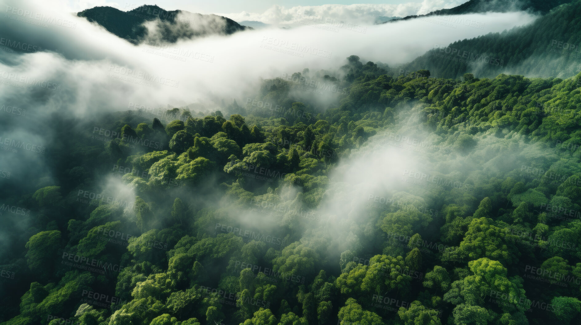 Buy stock photo Rainforest or jungle aerial view. Top view of a green forest with mist for earth day