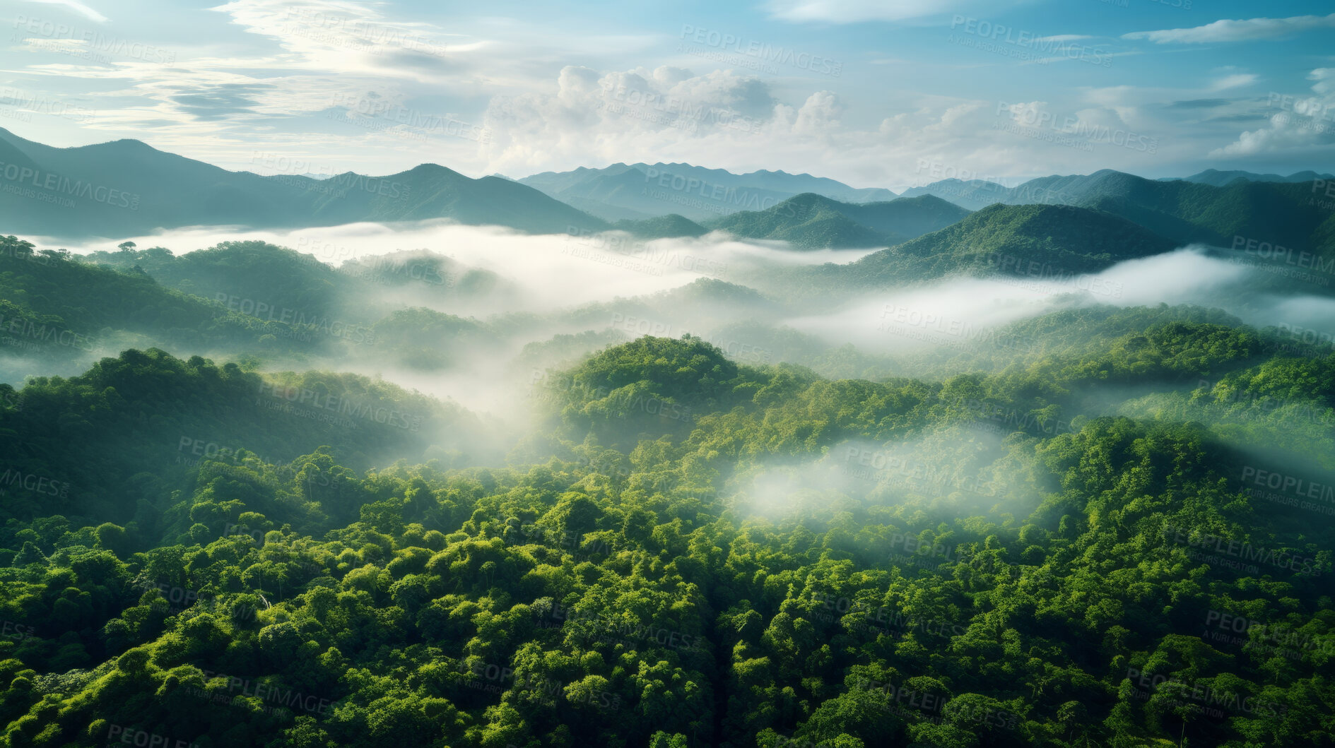 Buy stock photo Rainforest or jungle aerial view. Top view of a green forest with mist, for earth day concept