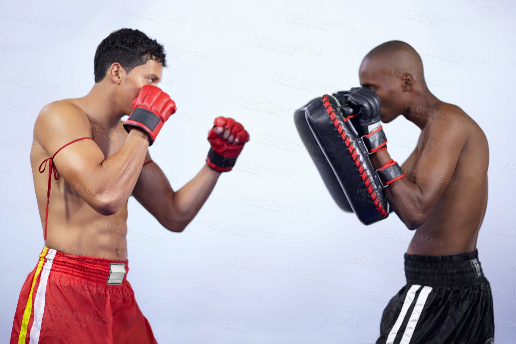 Buy stock photo Sports, training partner and mma people, boxer or fighter practice for contest, competition or fight workout challenge. Teamwork, studio and athlete fitness, exercise or boxing on white background