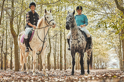 Portrait, outdoor and women with horses, nature and hobby with activity, woods and wellness with weekend break. People, girls and friends with animals, stallions or adventure in a forest and farm pet