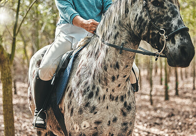 Nature, closeup and woman riding a horse in forest training for a race, competition or event. Adventure, animal and young female person with stallion pet outdoor in the woods for equestrian practice.