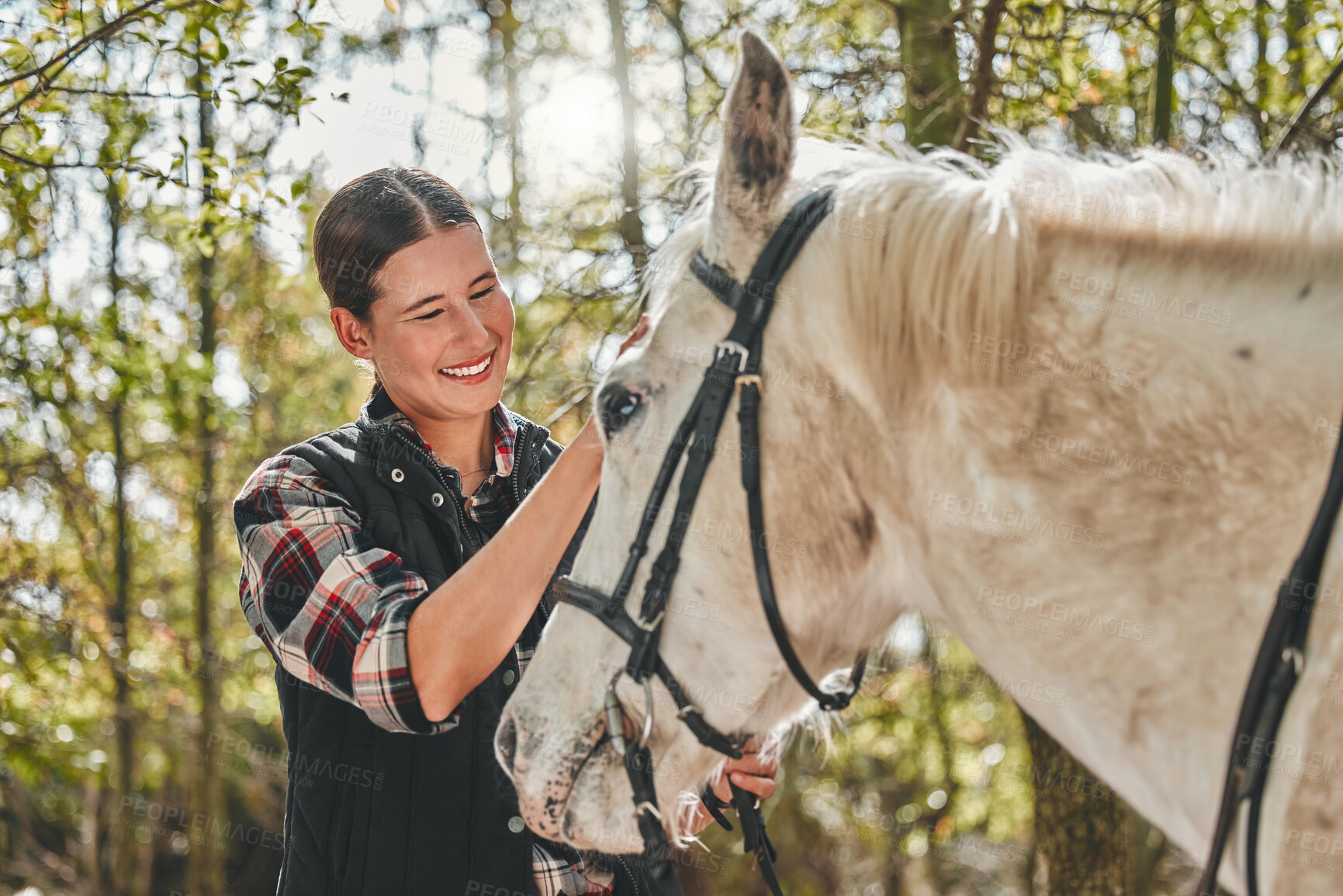 Buy stock photo Happy woman with horse in forest, grooming in nature and love for animals, pets or dressage with trees. Equestrian sport, girl jockey or rider standing in woods for adventure, rub and smile on face.