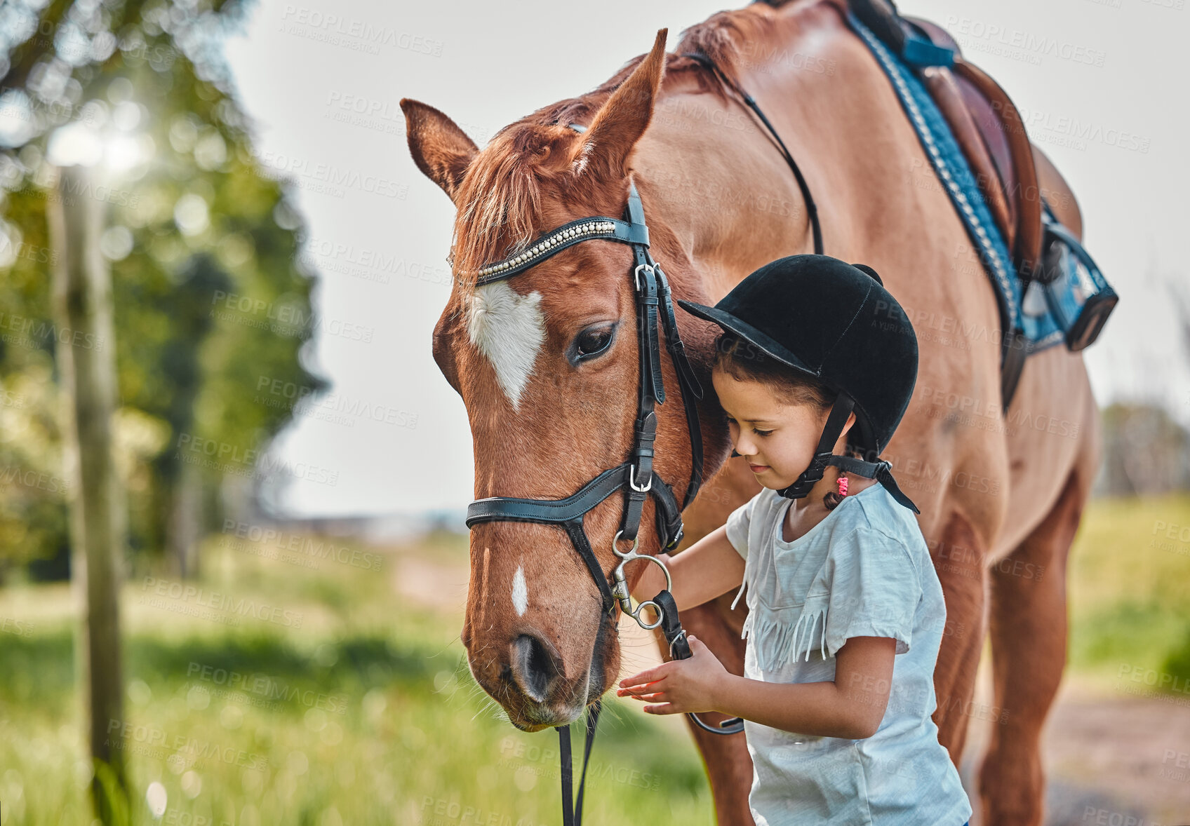 Buy stock photo Happy, nature and child with a horse in a forest training for a race, competition or event. Adventure, animal and young girl kid with stallion pet outdoor in the woods for equestrian practice.