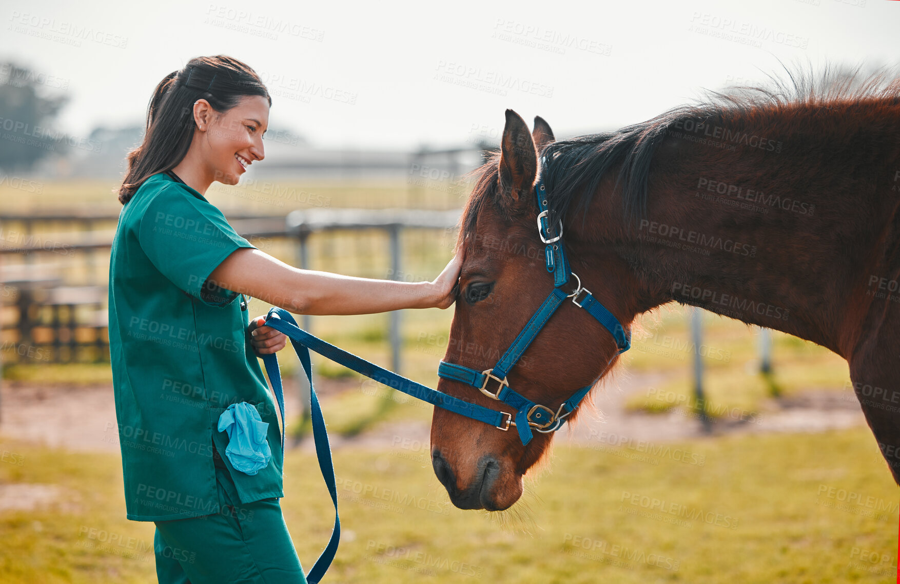 Buy stock photo Woman veterinary, horse and medical care outdoor for health and wellness in the countryside. Happy doctor, professional nurse or vet person with an animal for help, touch and healthcare at a ranch