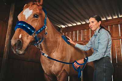 Buy stock photo Equestrian, ranch and a woman with her horse in a barn, brushing fur before training as a jockey. Farm, sports and a female rider cleaning her pet in a stable preparation of an equine event or hobby