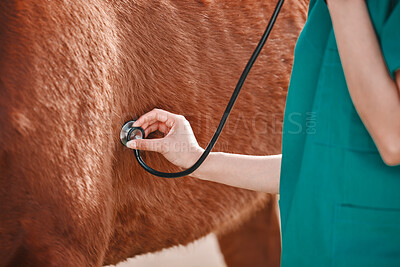 Horse, woman veterinary and stethoscope in hand outdoor for health and wellness. Doctor, professional nurse or vet person with an animal for help, medical care and listening to heart or breathing