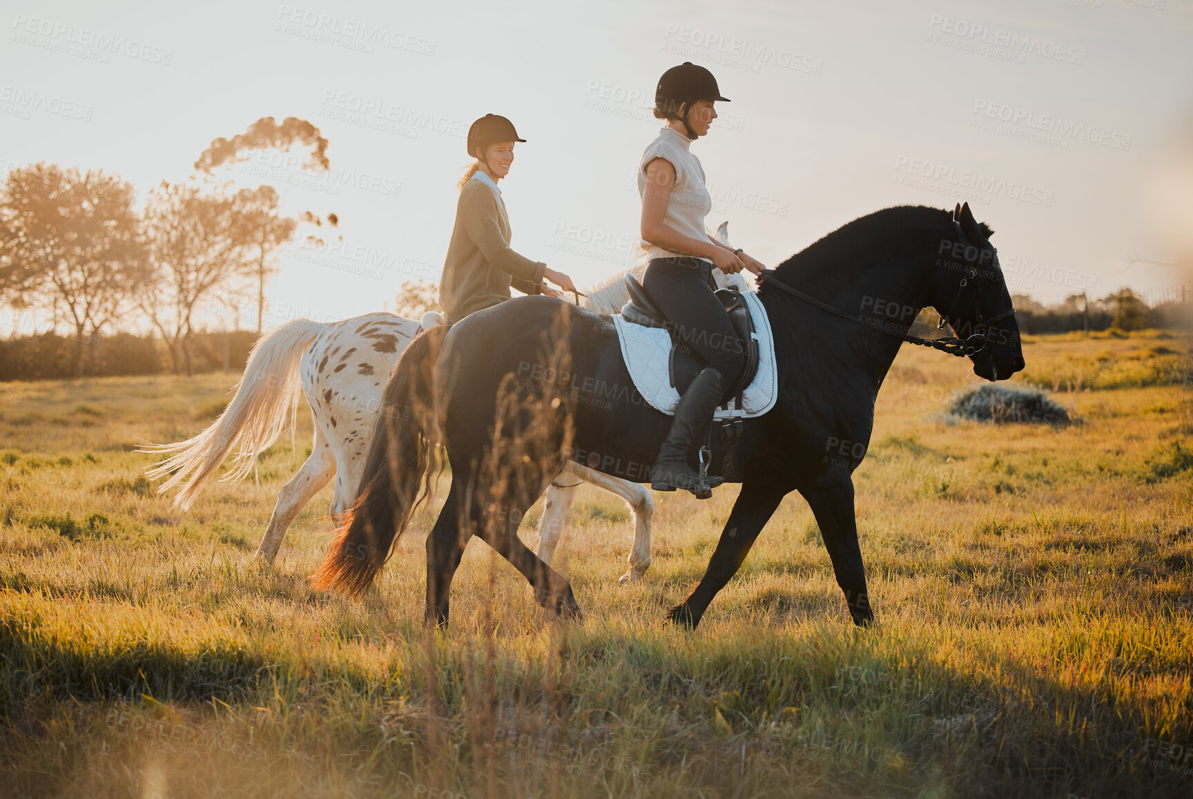 Buy stock photo Horse riding, countryside and hobby with friends in nature on horseback through a field during a summer morning. Freedom, equestrian and female riders outdoor together for travel, fun or adventure