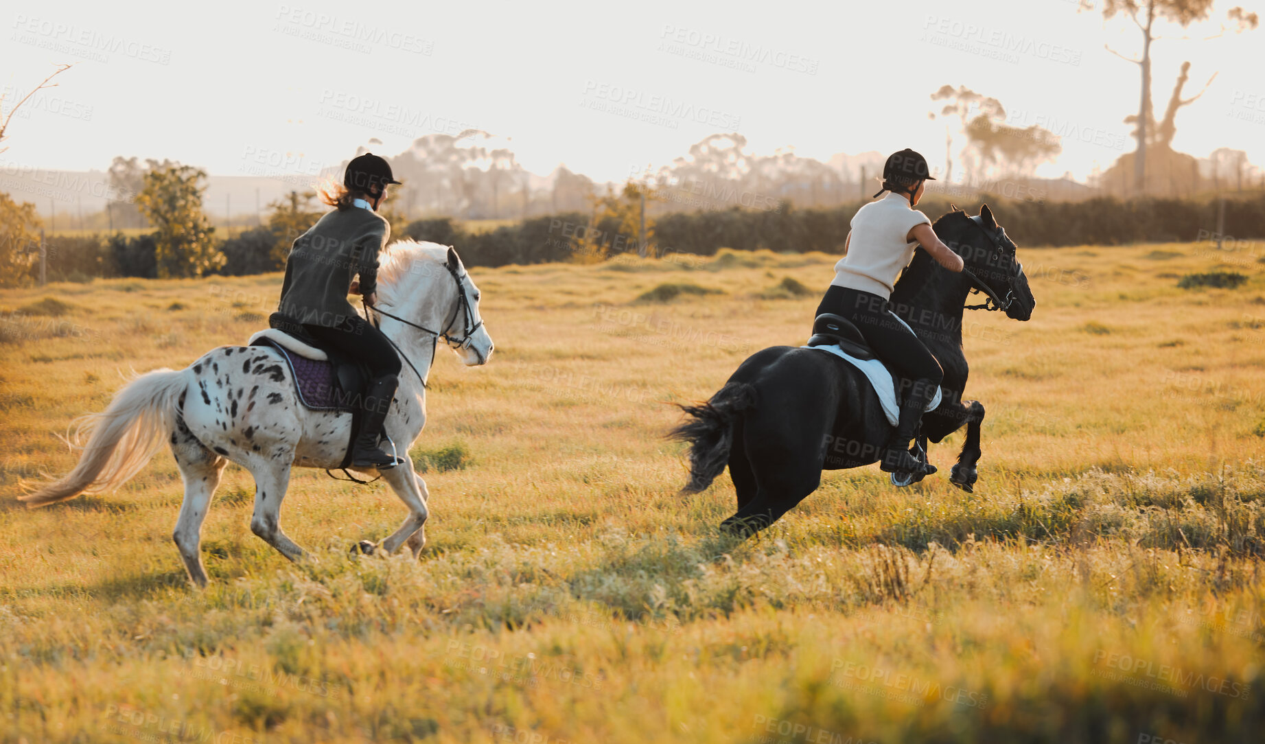 Buy stock photo Horse riding, equestrian and hobby with friends in nature racing on horseback during a summer morning. Countryside, freedom and the back of female riders outdoor together for travel, fun or adventure
