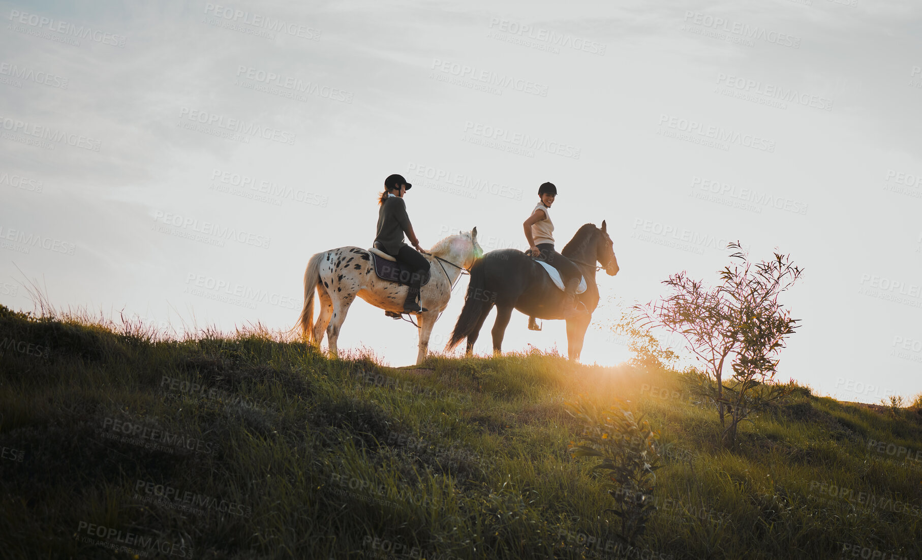 Buy stock photo Horse riding, sunset or hobby with friends the countryside on horseback looking at the view during a summer morning. Nature, equestrian and female riders outdoor together for travel fun or adventure