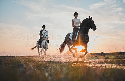 Adventure, girl and horse riding with sunset or water for holiday with bonding on field. Animal, rider and female person with splash in river for travel in outdoor at ranch for hobby or fun and race.