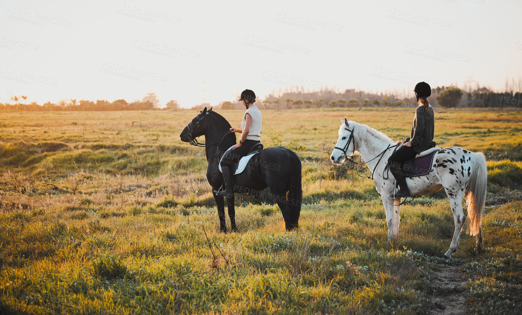 Buy stock photo Horse riding, friends and women in countryside at sunset with outdoor mockup space. Equestrian, girls and animals in field, nature and adventure, travel and journey with pet for vacation in summer.