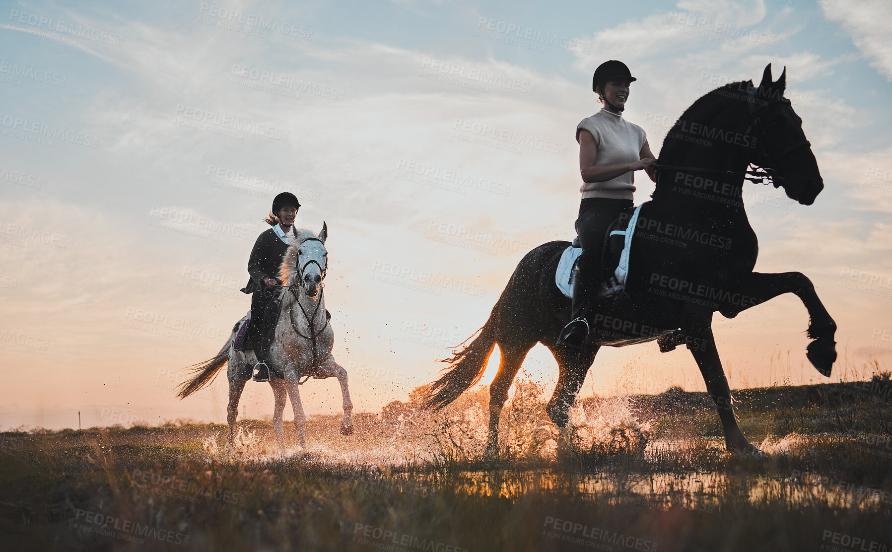 Buy stock photo Sunset, girl and horse riding in water for adventure in nature for fun on weekend with friends. Vacation, riders and animal with woman or equestrian with running in outdoor or field, summer or race.