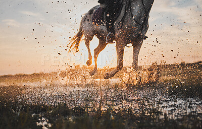 Horse riding, outdoor and water for adventure with sunset for fun or travel in closeup. Animal, running and rider with splash in nature with stream for trip or hobby with stallion on rural farm.