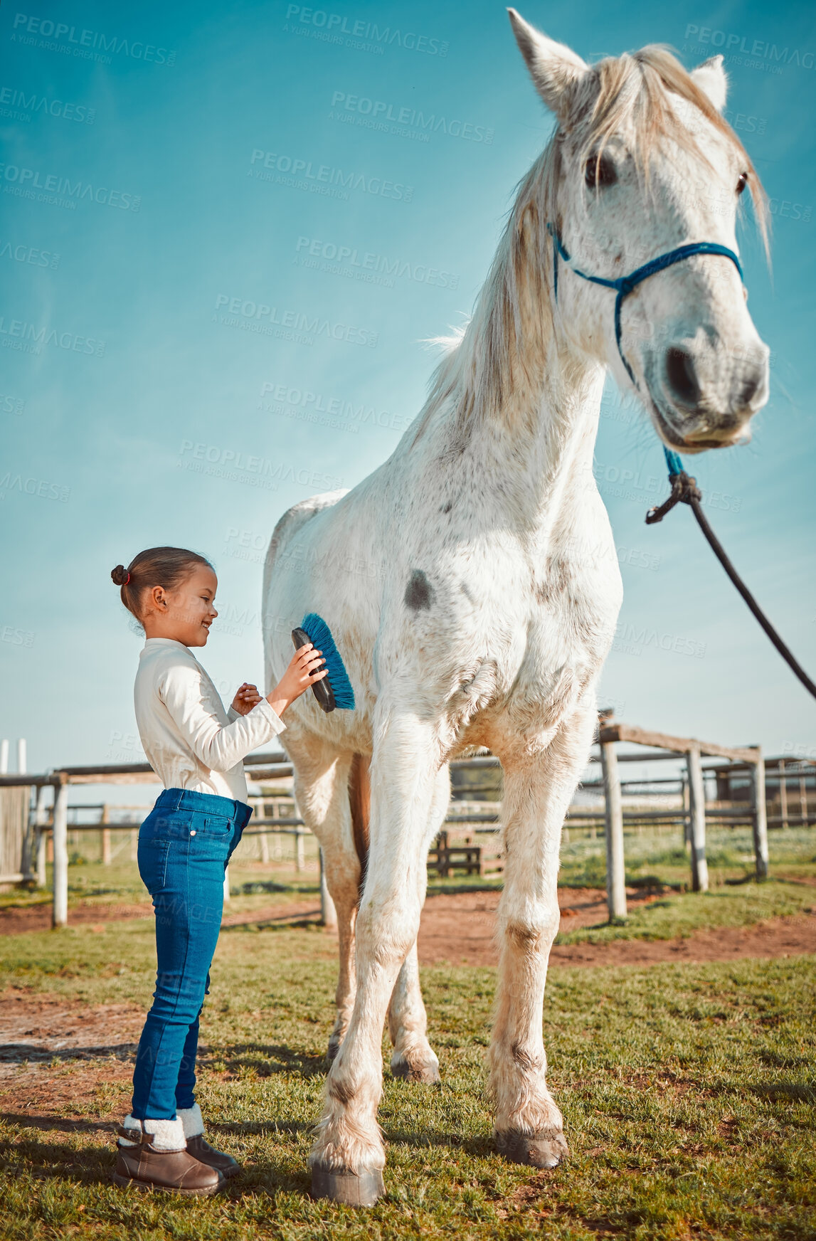 Buy stock photo Girl child, brush horse and outdoor with care, love and holiday at farm, countryside or zoo in summer. Young kid, pet and animal with kindness, friendly and freedom for grooming in morning sunshine