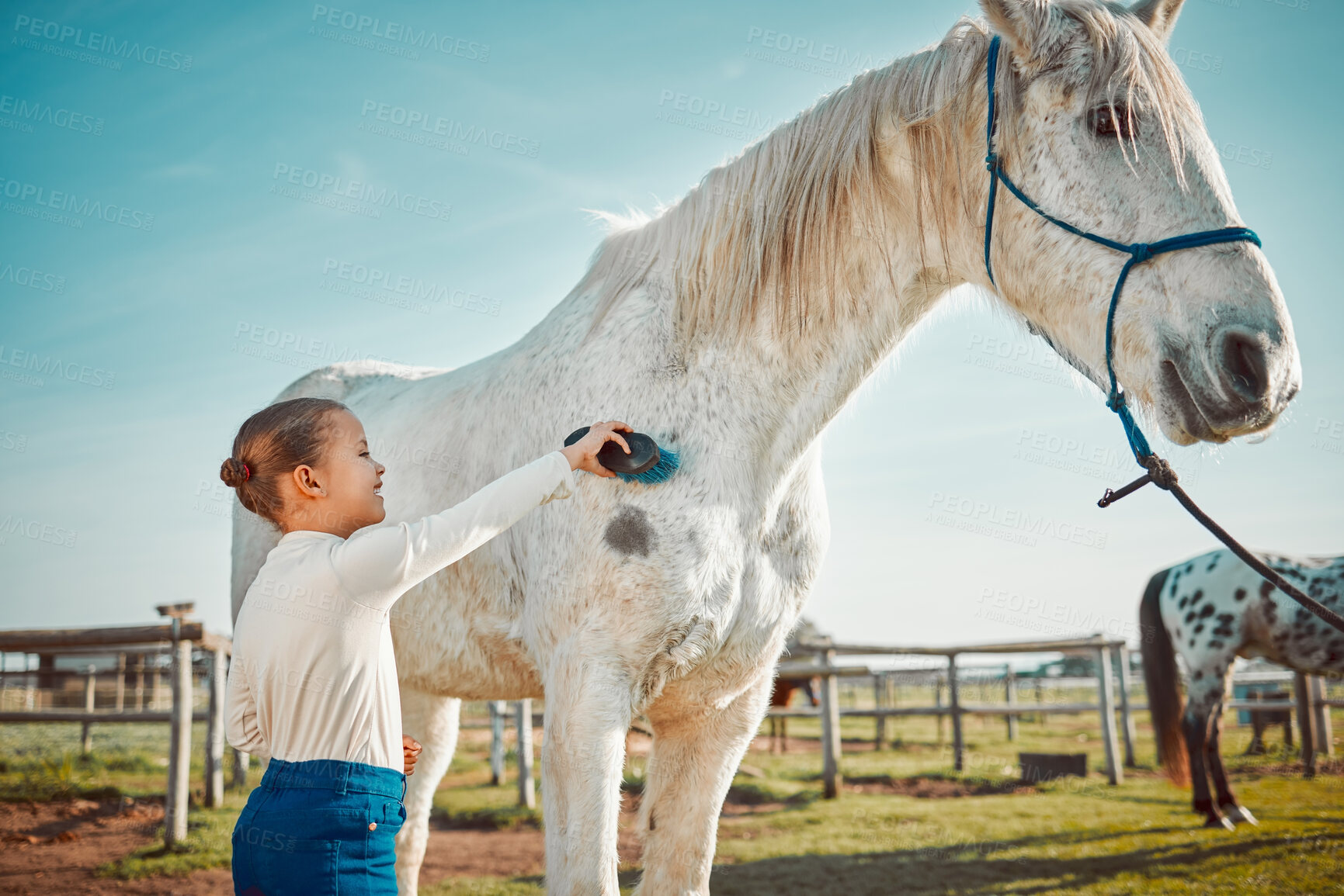 Buy stock photo Smile, brush and horse with girl on countryside for riding, equestrian and affectionate. Pet, pasture and champion stallion with child jockey and animal on nature ranch for relax, travel or weekend