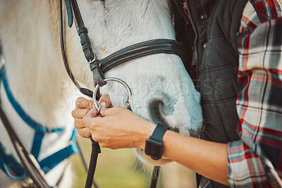 Horse, riding and equestrian with person and saddle up animal outdoor, ranch in countryside and sports. Luxury, hands and pet closeup, fitness and nature, rider or jockey for training for competition