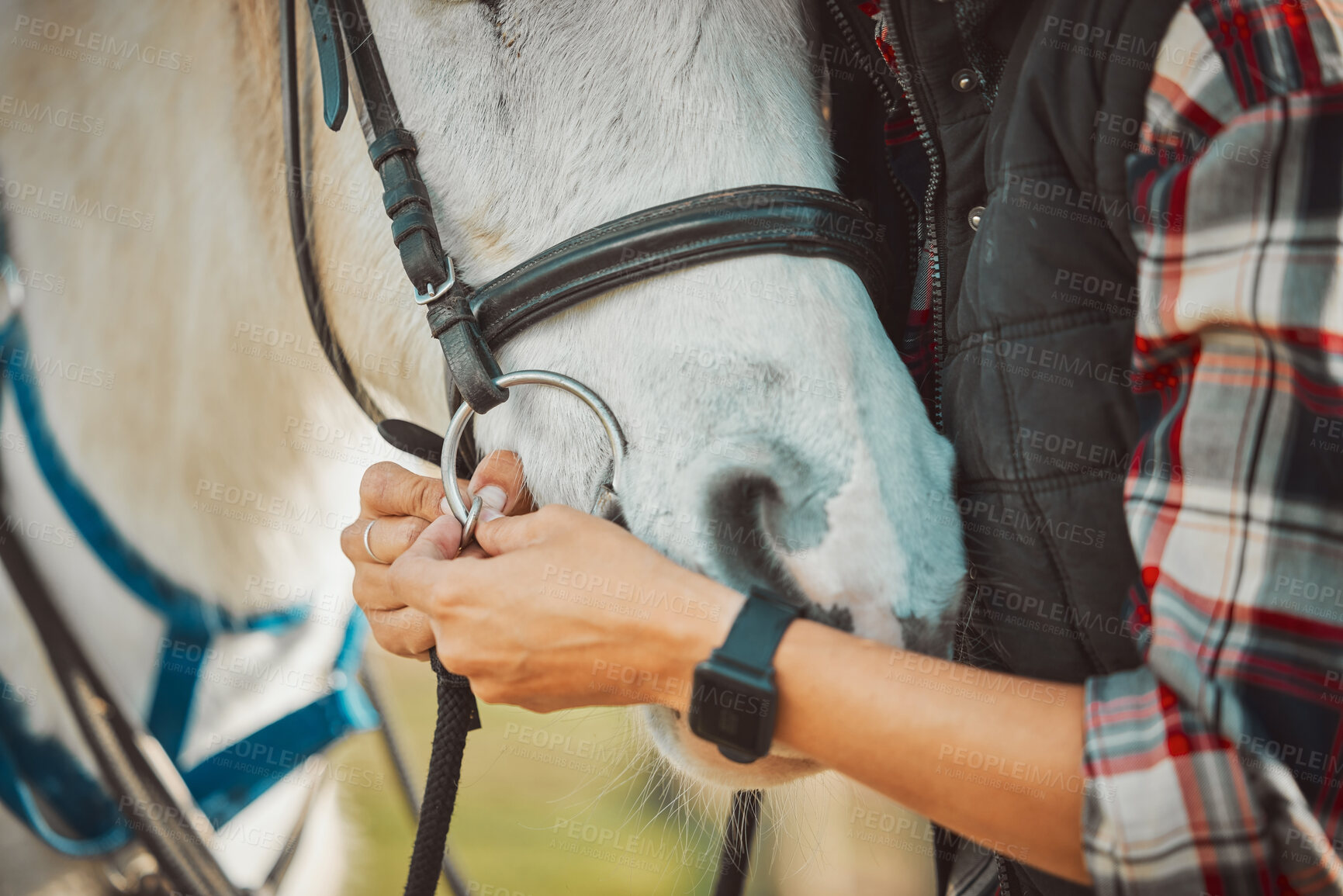 Buy stock photo Horse, riding and equestrian with person and saddle up animal outdoor, ranch in countryside and sports. Luxury, hands and pet closeup, fitness and nature, rider or jockey for training for competition