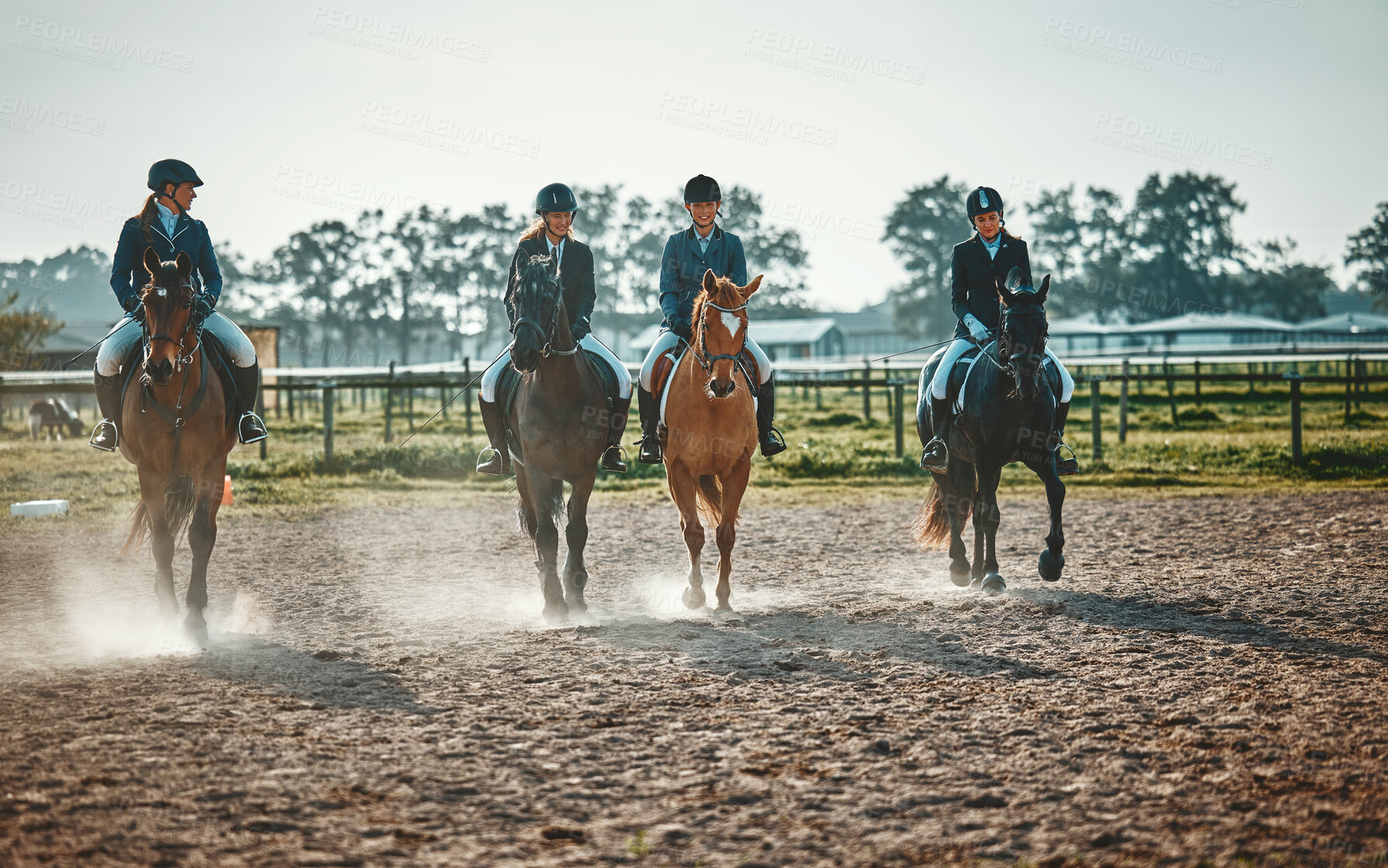 Buy stock photo Equestrian, group and women on a horse for sports, training and show on farm in Switzerland. Learning, lessons and girls horseback riding for a race, competition or professional event in countryside