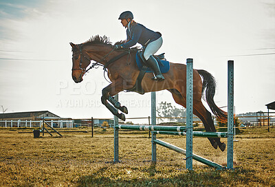Buy stock photo Training, jump and woman on a horse for sports, an event or show on a field in Norway. Equestrian, action and girl doing a horseback riding course during a jockey race, hobby or sport in nature