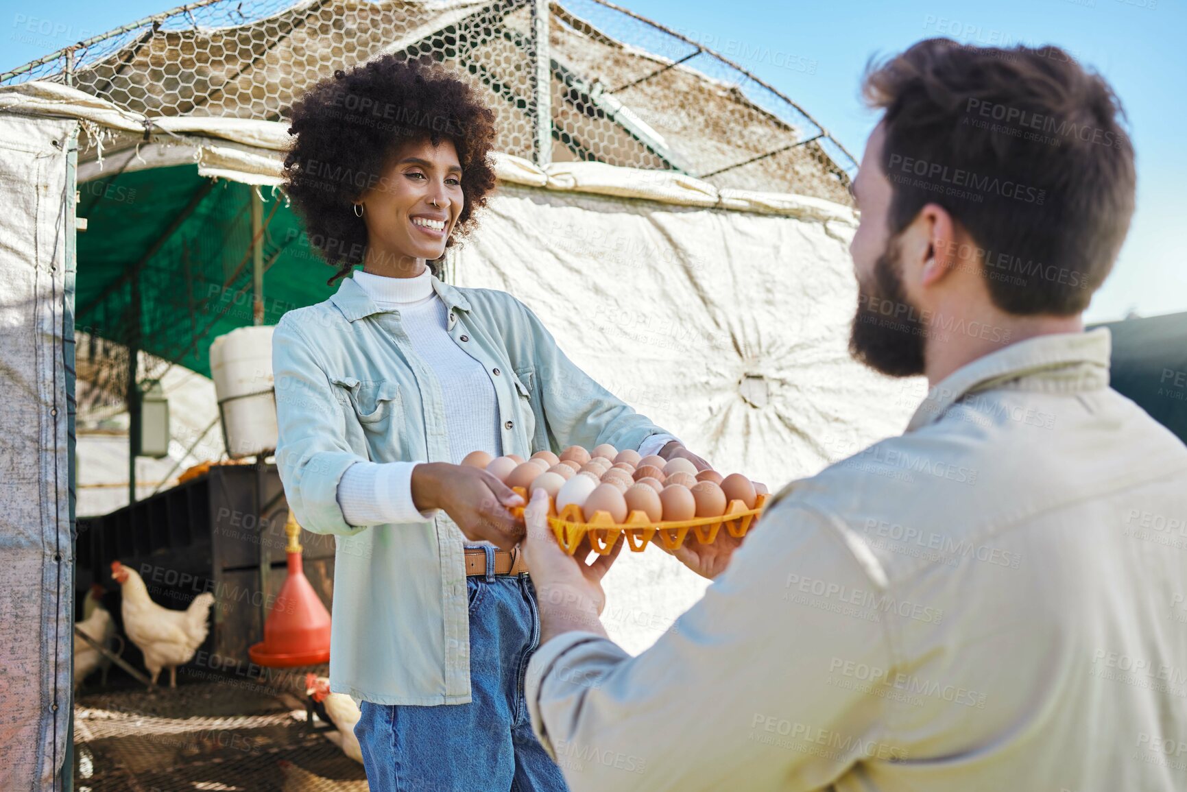 Buy stock photo Egg production, chicken farmer and people in barn to check stock, logistics and supply chain of food industry. Happy black woman, poultry farming and eggs for growth, export or eco startup management