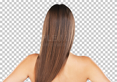 Woman, beauty and hair care in studio for texture, growth and healthy shine on blue background. Aesthetic female model back for haircare, wellness and results for salon or hairdresser treatment