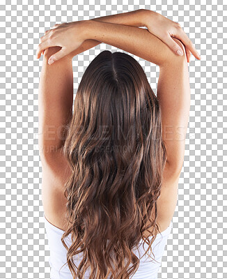 Buy stock photo Beauty, hair and back of woman for hairdresser on isolated, png and transparent background for growth. Haircare, salon and person with curl hairstyle for healthy texture, keratin shine and cosmetics