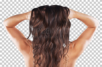 Studio, back or girl with hair growth, healthy natural shine or grooming wellness on white background. Hands, curly hairstyle or woman model isolated with beauty salon mockup or self care cosmetics