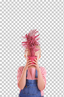 Buy stock photo Pot, child hiding face with plant and isolated on a transparent png background. Kid cover with potted leaf, natural sustainability and cute girl gardening for ecology, earth day and floral growth