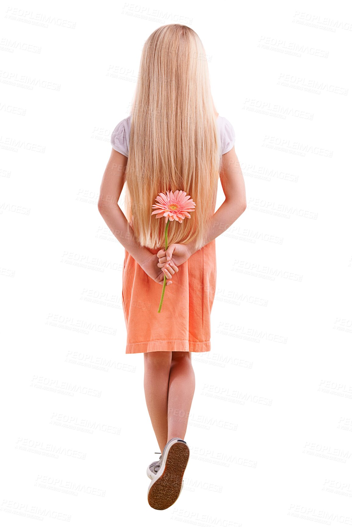 Buy stock photo Fashion, casual and back of girl with flower for surprise, gift or present for love or valentines day. Cute, model and young child or kid with pink floral plant isolated by transparent png background