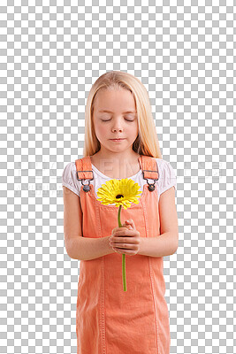 Buy stock photo Fashion, casual and girl kid with flower for surprise, gift or present for love or valentines day. Cute, model and young child or person with pink floral plant isolated by transparent png background