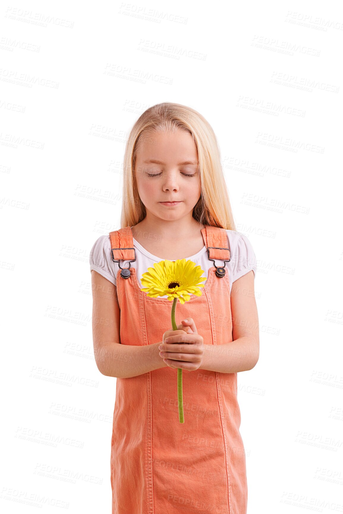 Buy stock photo Fashion, casual and girl kid with flower for surprise, gift or present for love or valentines day. Cute, model and young child or person with pink floral plant isolated by transparent png background