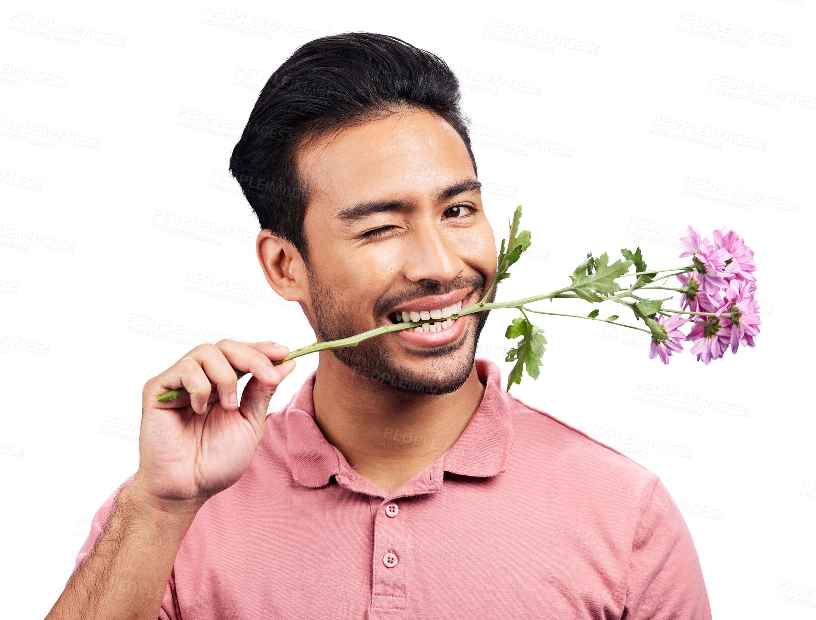 Buy stock photo Isolated man, wink and flower in teeth, portrait or flirt with anniversary gift by transparent png background. Funny person, plant or happy with floral present in mouth for valentines day celebration