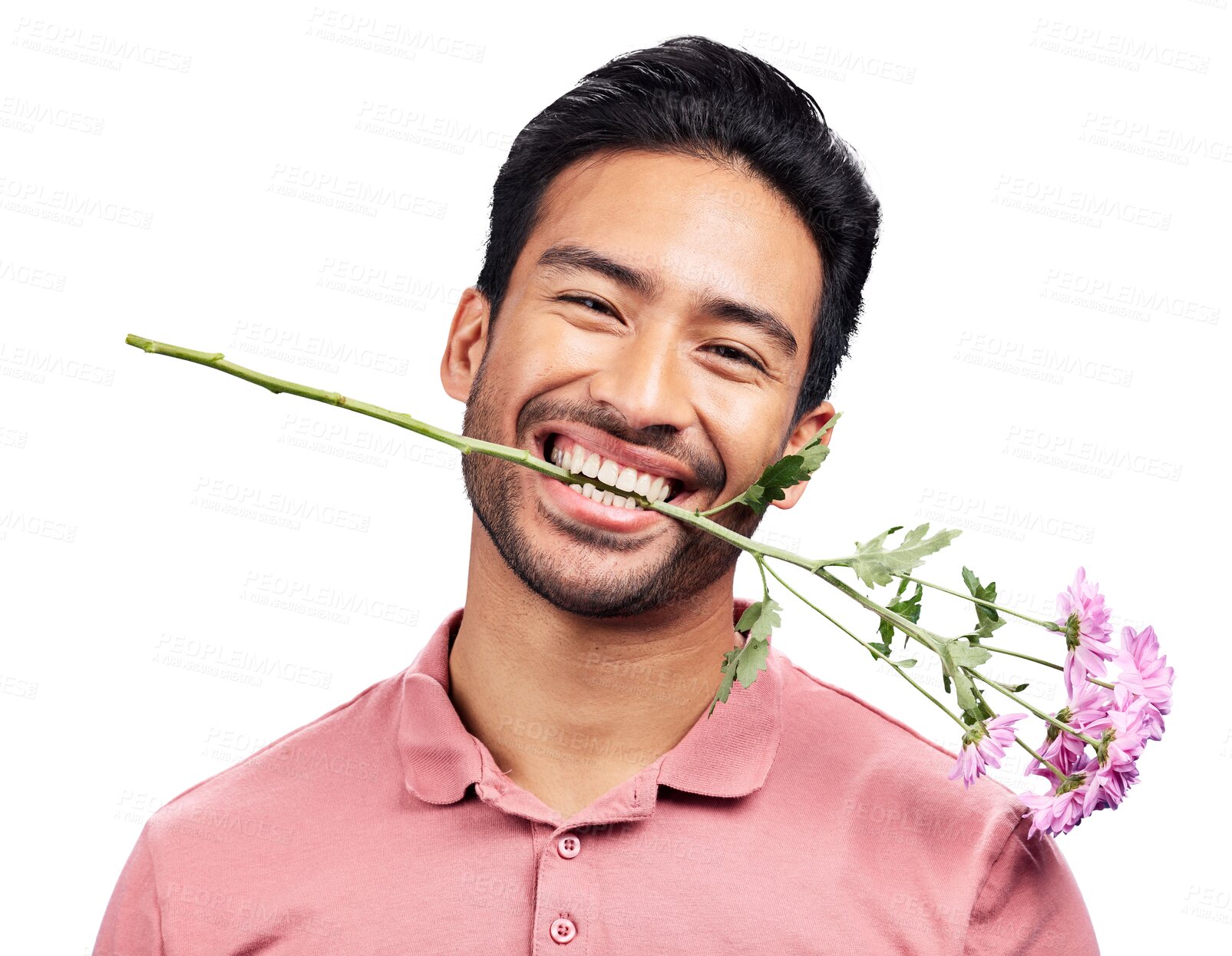 Buy stock photo Isolated man, happy and flower in teeth, portrait or flirt with anniversary gift by transparent png background. Funny person, plant or smile for floral present in mouth for valentines day celebration