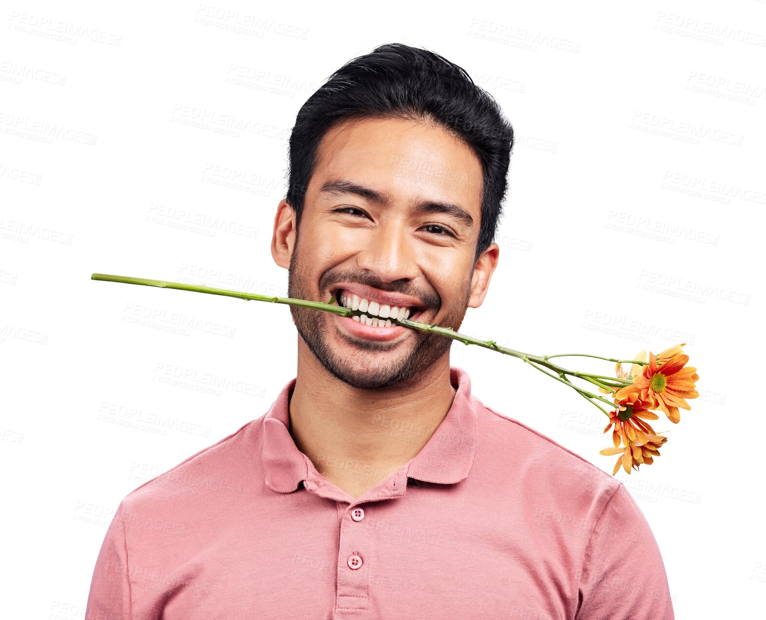 Buy stock photo Isolated man, smile and flower in teeth, portrait or flirt with anniversary gift by transparent png background. Funny person, plant or happy for floral present in mouth for valentines day celebration