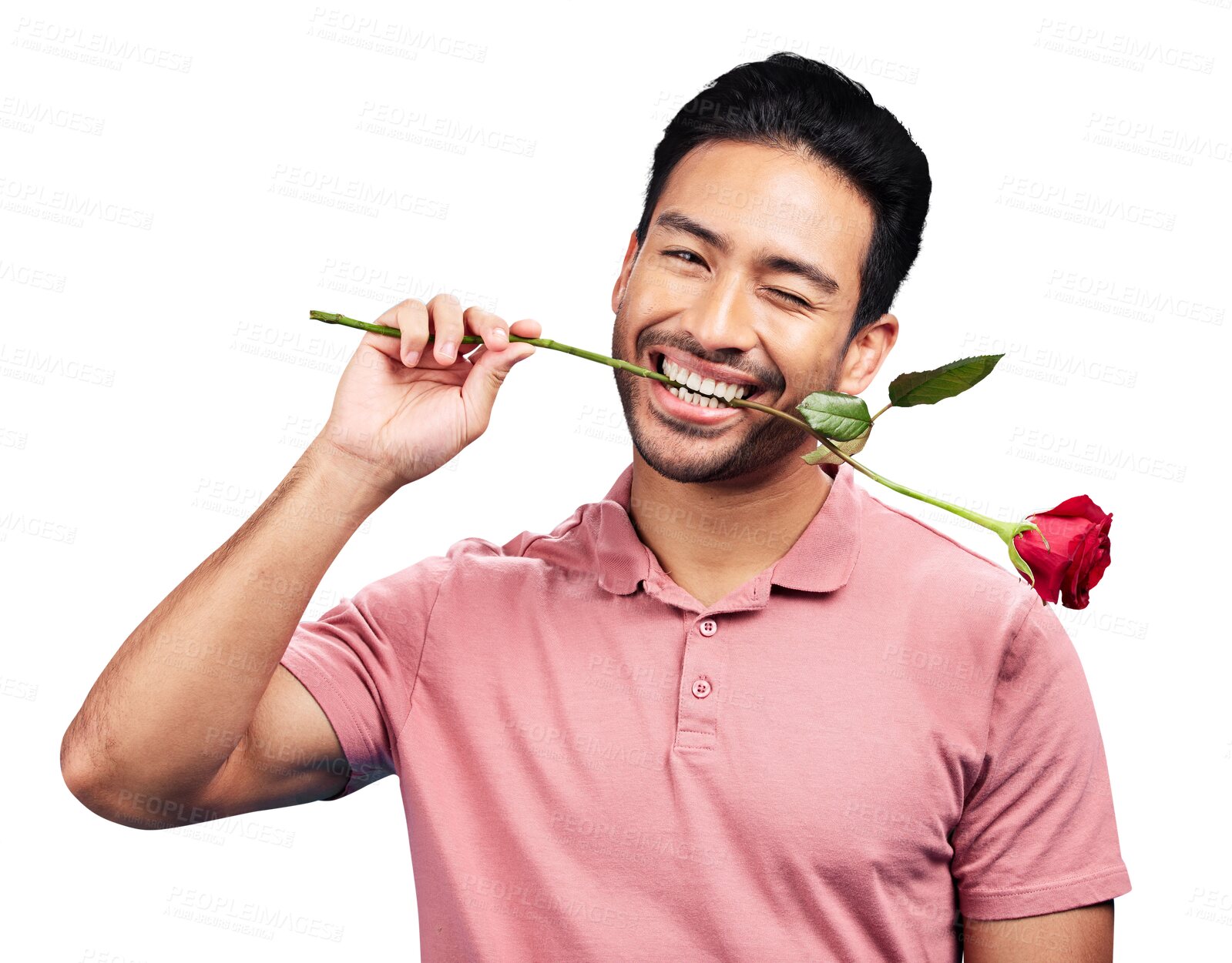 Buy stock photo Man, wink and rose in teeth, smile and portrait to flirt with anniversary gift by transparent png background. Funny person, flower or happy with floral present in mouth for valentines day celebration