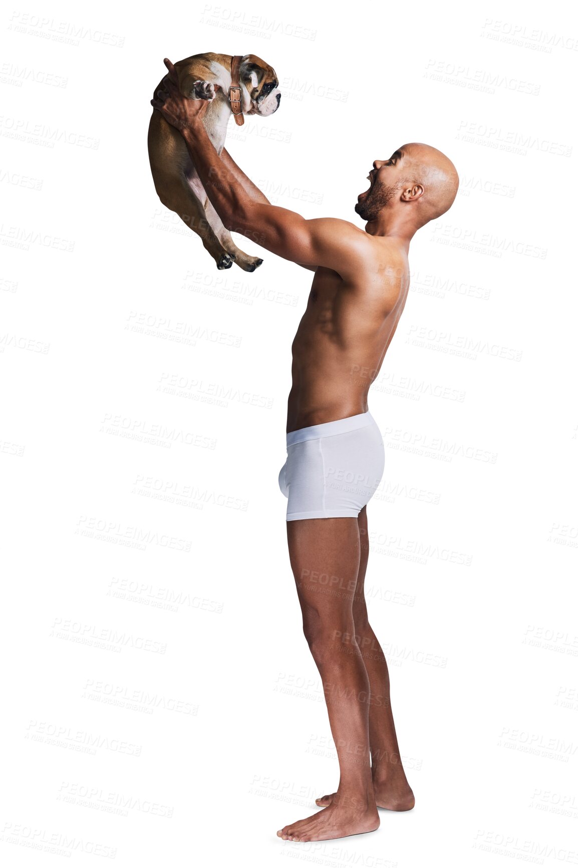 Buy stock photo Excited, dog and man with pet and happy on isolated, png and transparent background in underwear. Best friend, love and person with muscles holding bulldog for friendship, animal care and adoption