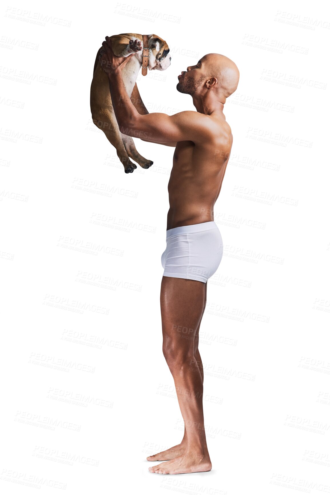 Buy stock photo Happy, underwear and man carry dog on isolated, png and transparent background with smile. Best friend, pet and excited person with strong body with bulldog for friendship, animal care and adoption