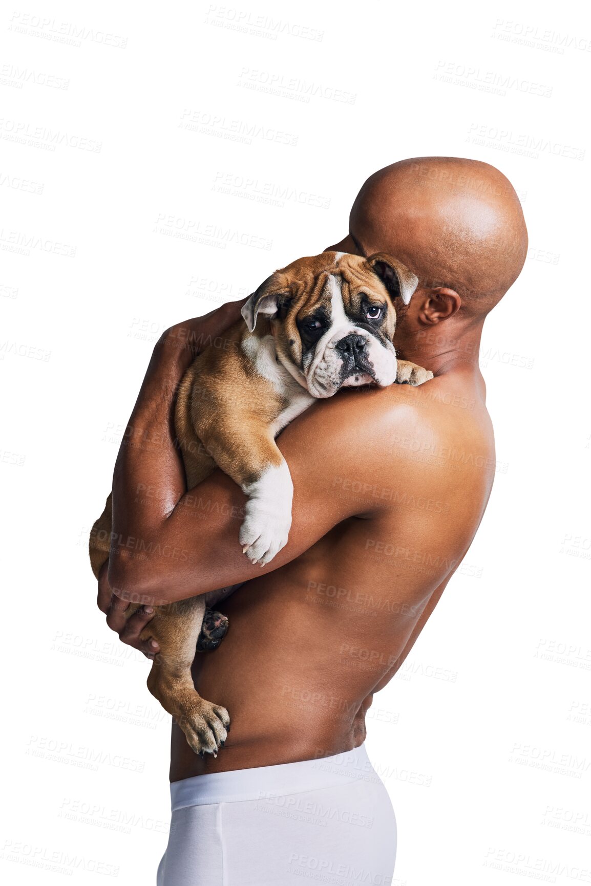 Buy stock photo Love, hug dog and man in underwear on isolated, png and transparent background for bonding together. Best friend, pet and person with muscles embrace bulldog for friendship, animal care and adoption