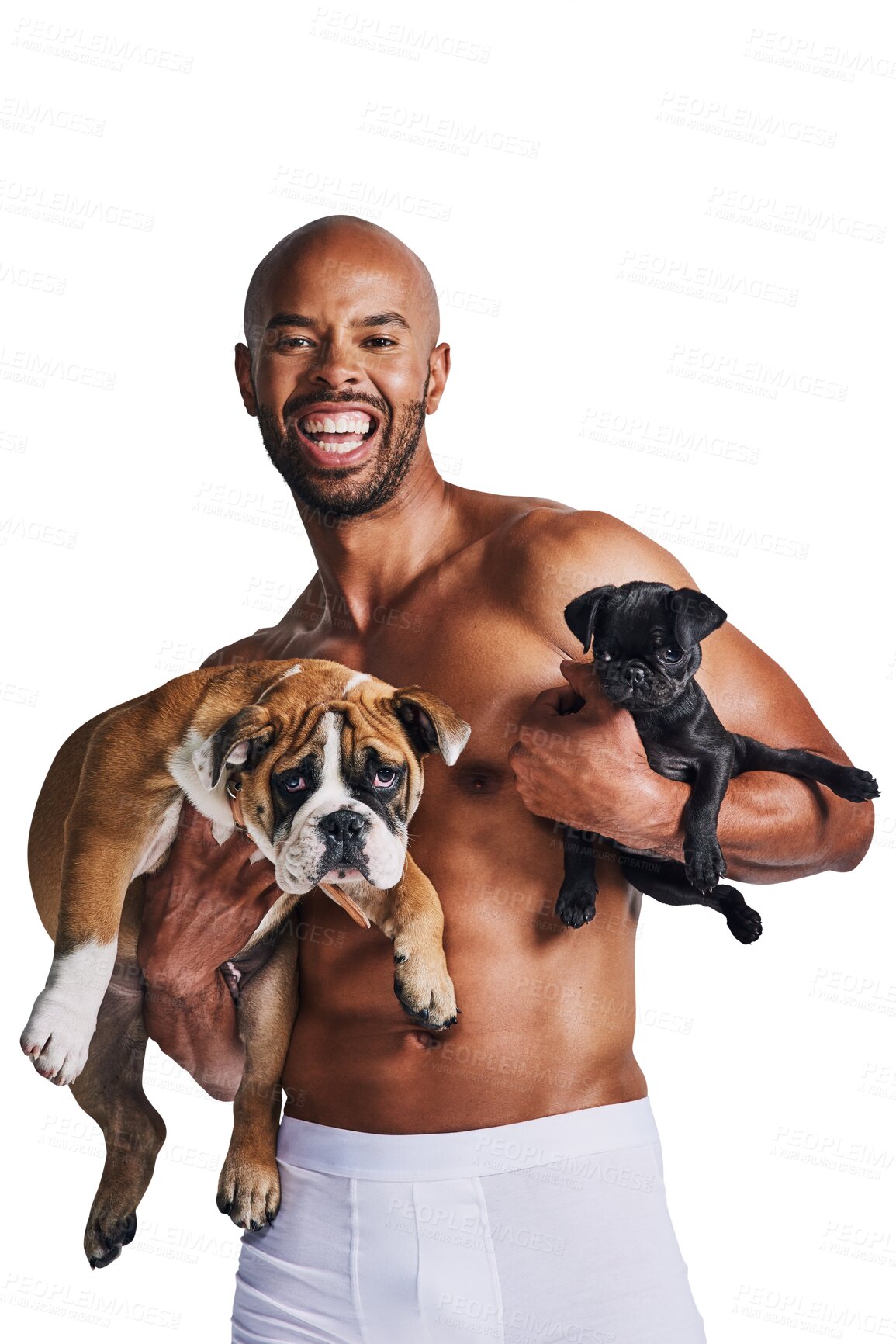 Buy stock photo Happy, excited and portrait of man with dogs on isolated, png and transparent background. Best friend, pets and person in underwear with bulldog and pug for friendship, animal care and adoption