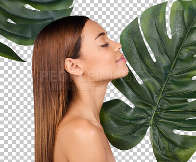 Buy stock photo Isolated woman, profile and skincare with leaves, thinking and vision for beauty by transparent png background. Girl, model and eyes closed for sustainable cosmetics, monstera plants and wellness