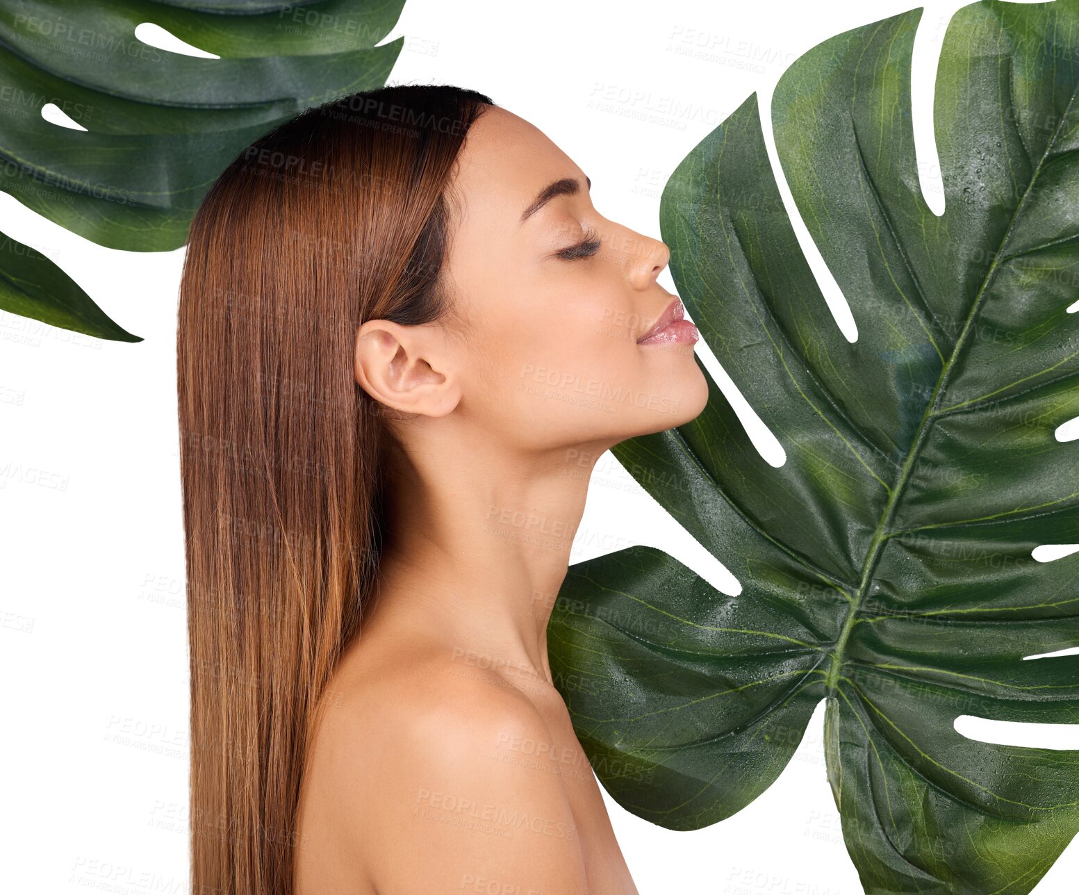 Buy stock photo Isolated woman, profile and skincare with leaves, thinking and vision for beauty by transparent png background. Girl, model and eyes closed for sustainable cosmetics, monstera plants and wellness