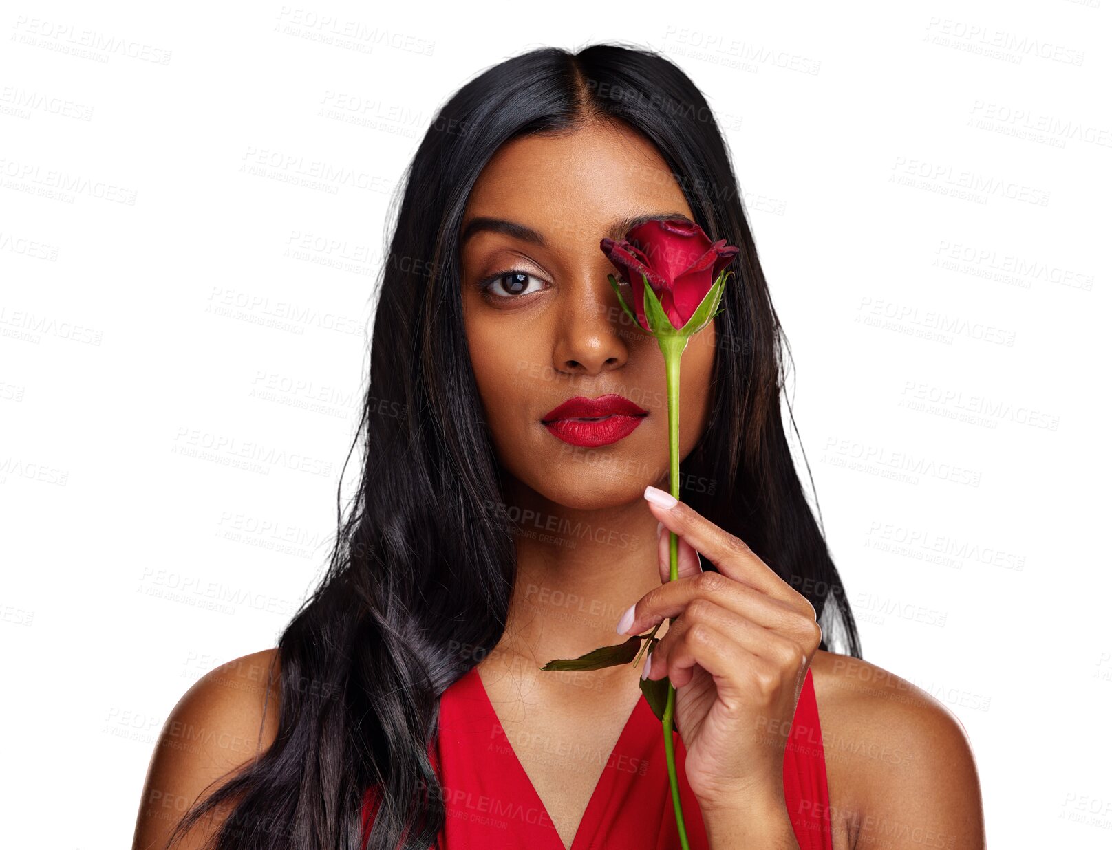 Buy stock photo Face, beauty and portrait of woman with rose for valentines day isolated on a transparent PNG background. Makeup, model and serious young Indian girl with flower or plant in hand for romance or love