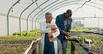 Man, woman and walk in greenhouse for agriculture gardening, land growth or compost business. Farmer, talking and vegetable dirt for inspection document checklist or plant soil, sustainable or food