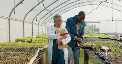 Buy stock photo Man, woman and walk in greenhouse for agriculture gardening, land growth or compost business. Farmer, talking and vegetable dirt for inspection document checklist or plant soil, sustainable or food