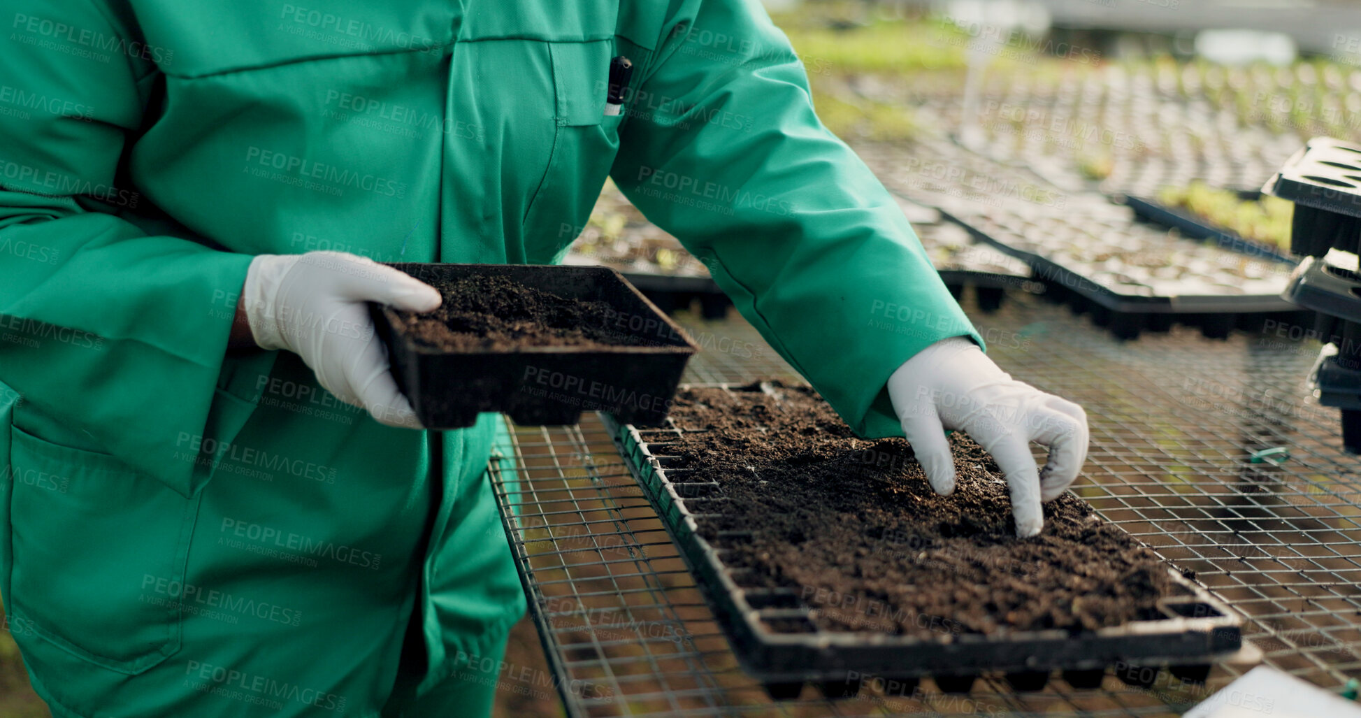 Buy stock photo Farmer, hands and compost in garden, sustainable farming and worker for agriculture, gardening and growth. Soil blocking, ecology and organic products for eco friendly, plants and food production