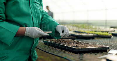 Buy stock photo Farmer, hands and compost with seeds, gardening and worker for agriculture, sustainable farming and growth. Soil blocking, ecology and organic products for eco friendly, plants and food production